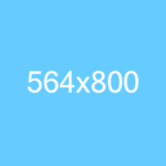 564×800
