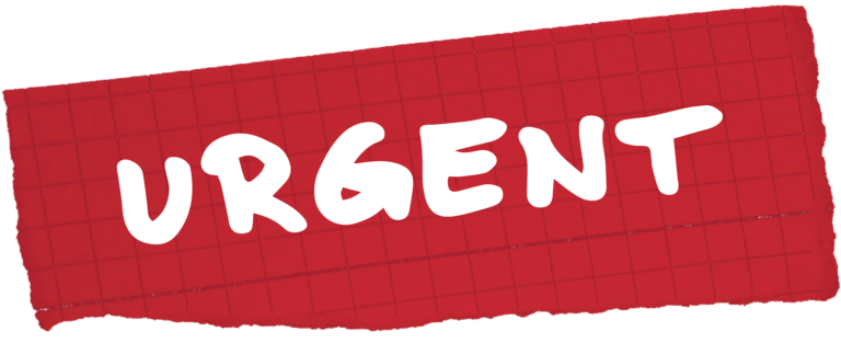 Syrian refugees deported from Beirut Airport to the Masnaa borders gateway