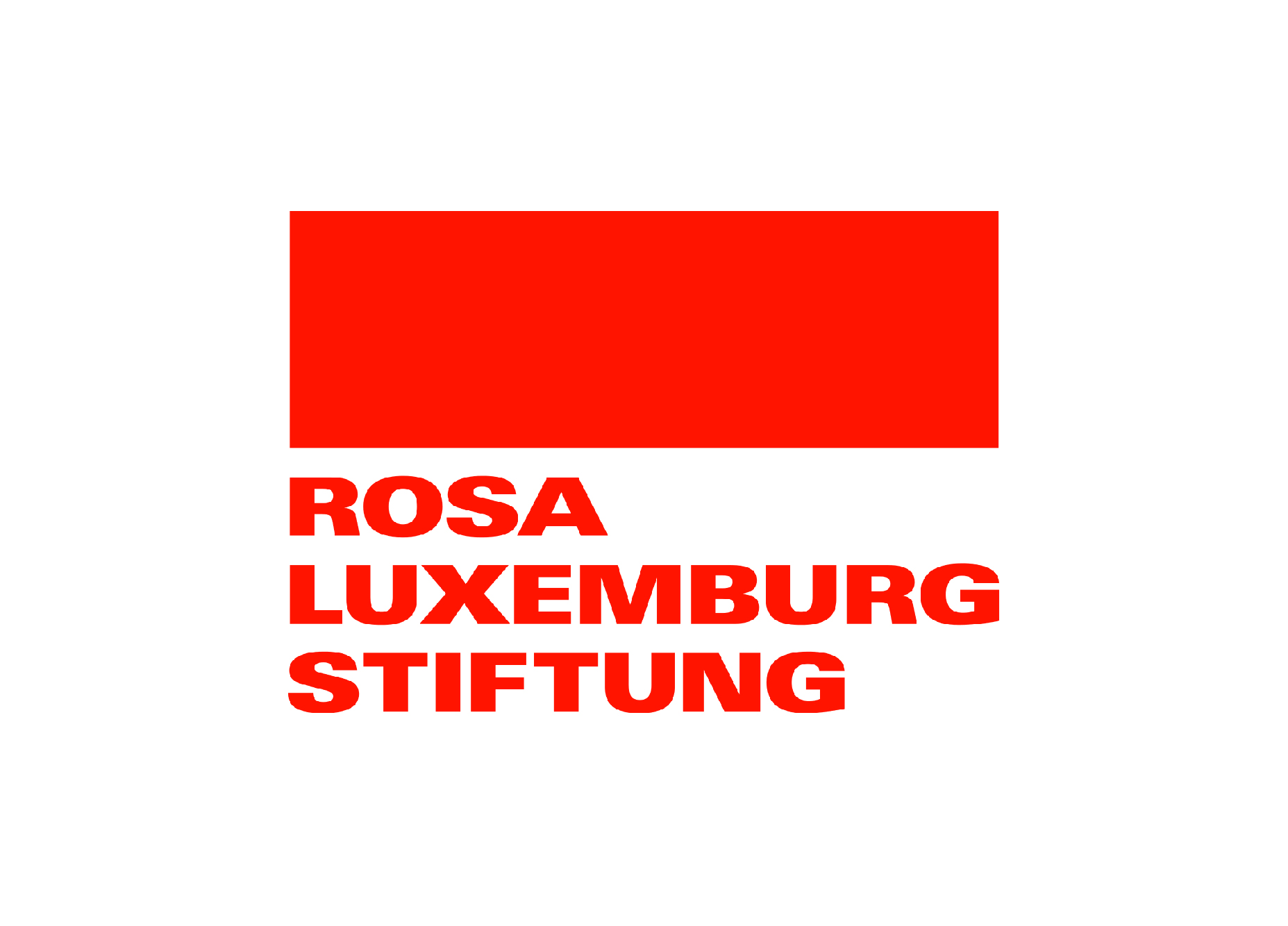 FLMH_Rosa_lux_FeministHW_1 client-image